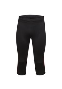 ALPINE PRO - Męski Capri Alpine Pro Enzo 4 S. Kolor: zielony. Materiał: tkanina