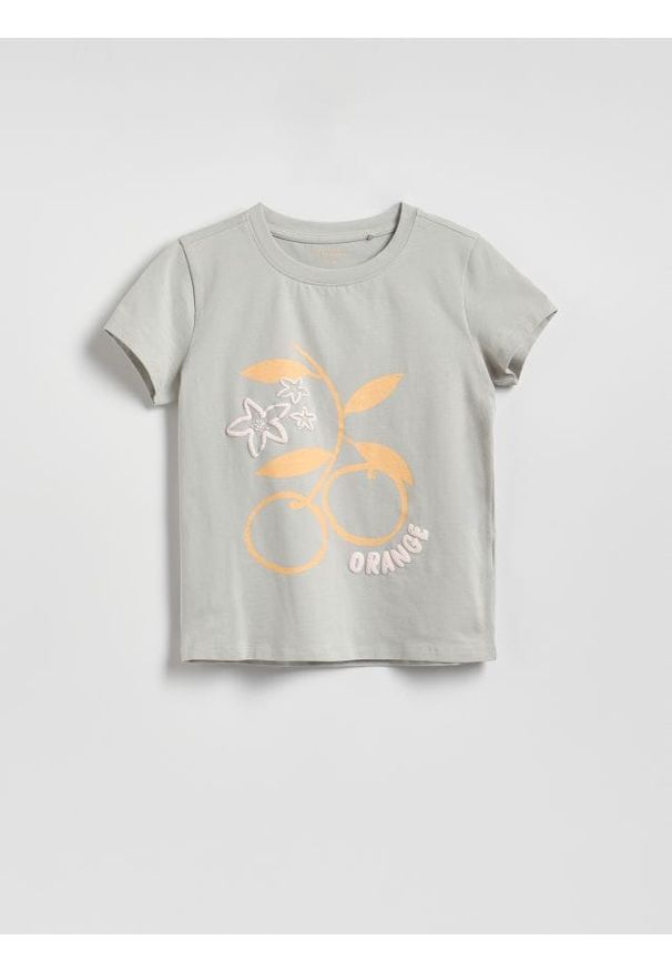 Reserved - T-shirt z nadrukiem - jasnoszary. Kolor: szary. Materiał: bawełna. Wzór: nadruk