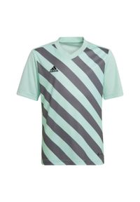Adidas - Koszulka piłkarska dla dzieci adidas Entrada 22 Graphic Jersey. Kolor: wielokolorowy, zielony, szary. Materiał: jersey. Sport: piłka nożna