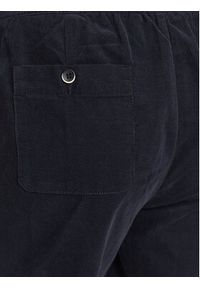 Sisley Spodnie materiałowe 4JPMSF017 Granatowy Relaxed Fit. Kolor: niebieski. Materiał: materiał, bawełna