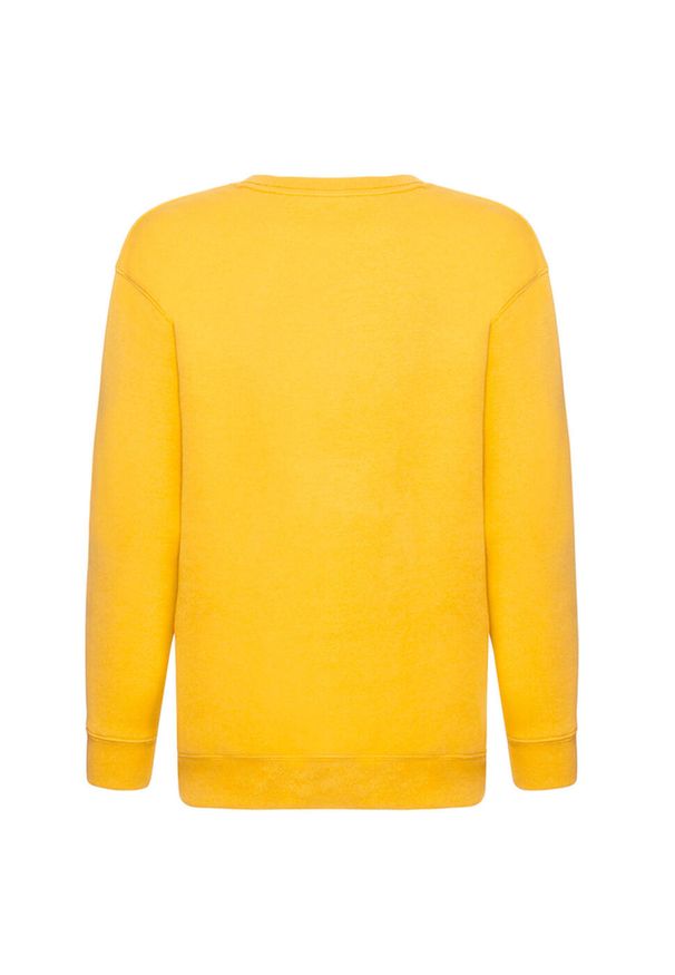 FRUIT OF THE LOOM - Bluza Dziecięca Premium. Kolor: żółty, pomarańczowy, wielokolorowy