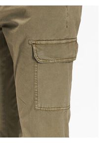 INDICODE Spodnie materiałowe Umut 60-320 Zielony Regular Fit. Kolor: zielony. Materiał: bawełna