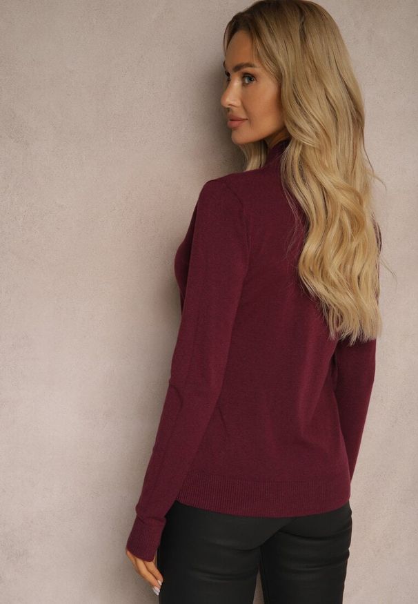 Renee - Ciemnofioletowy Półgolf o Klasycznym Fasonie z Kaszmirem i Wiskozą Zailana. Okazja: do pracy, na spotkanie biznesowe, na randkę. Kolor: fioletowy. Materiał: wiskoza, kaszmir. Długość rękawa: długi rękaw. Długość: długie. Wzór: aplikacja. Styl: klasyczny