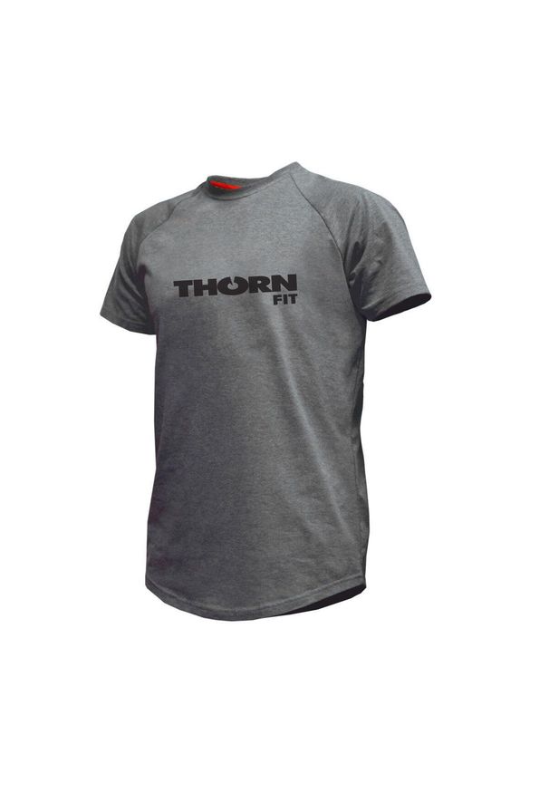 Koszulka na siłownię męska THORN FIT Team. Kolor: szary. Sport: fitness
