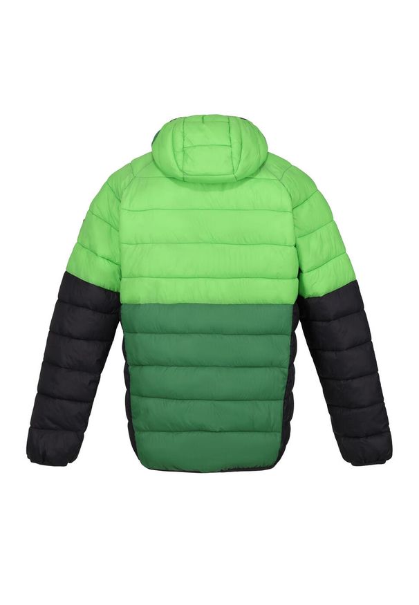 Regatta - Męska Kurtka Harrock II Baffled Padded Jacket. Kolor: zielony