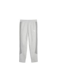 Puma Spodnie Evostripe Hw 67607504. Kolor: szary. Sport: fitness