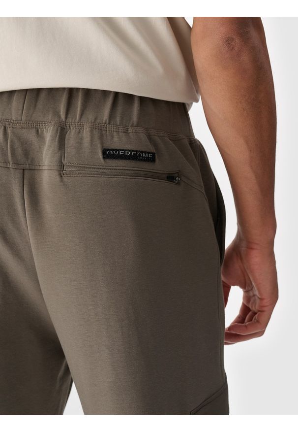 4f - 4F Spodnie casual cargo męskie - brązowe 3XL. Okazja: na co dzień. Kolor: brązowy. Materiał: poliester, tkanina, bawełna, materiał. Styl: casual