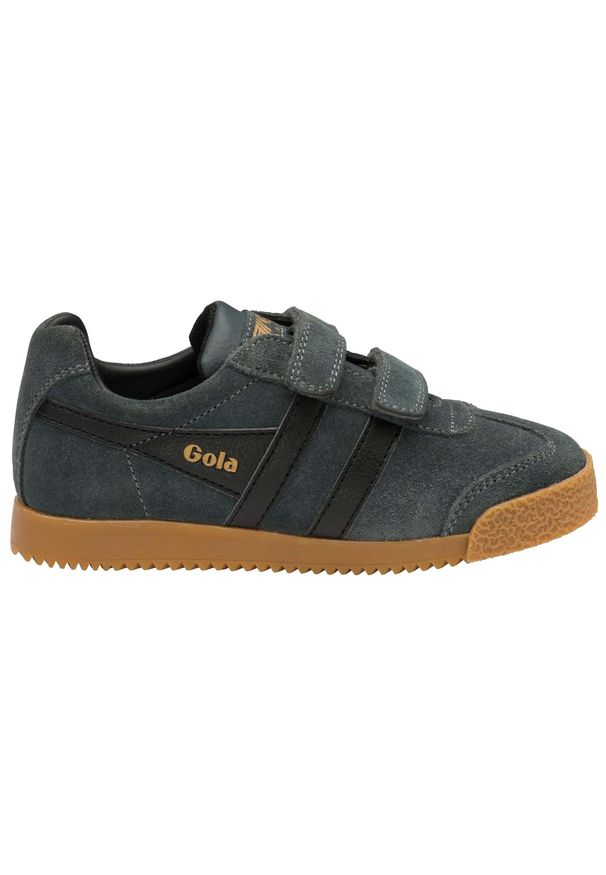 Trenerzy dziecięcy Gola Harrier Velcro. Kolor: czarny, szary, wielokolorowy. Sport: turystyka piesza