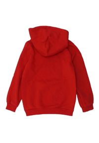 Puma - Bluza Z Kapturem Dct Dla Dzieci. Typ kołnierza: kaptur. Kolor: czerwony