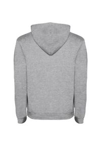 ROLY - Bluza Dziecięca/dziecięca Urban Hoodie. Kolor: wielokolorowy, czarny, szary