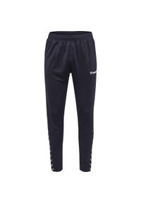 Spodnie dresowe dla dzieci Hummel hmlAUTHENTIC Training. Kolor: niebieski. Materiał: dresówka. Sezon: zima. Sport: piłka nożna #1