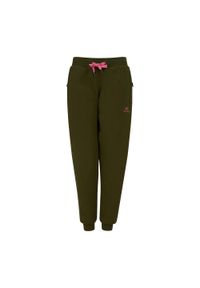 NAVITAS - Spodnie damskie Navitas Lily Sherpa Jogger. Kolor: zielony