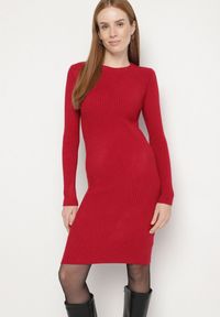 Born2be - Bordowa Dopasowana Sukienka z Prążkowanej Dzianiny z Bawełną Tesmera. Okazja: na co dzień, do pracy, na spotkanie biznesowe. Kolor: czerwony. Materiał: prążkowany, bawełna, dzianina. Styl: biznesowy, casual #1