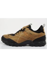 Buty sportowe trekkingowe męskie Aku Nativa Gore-Tex. Kolor: brązowy. Materiał: skóra, tkanina. Szerokość cholewki: normalna. Technologia: Gore-Tex