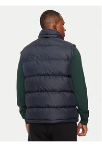 GANT - Gant Bezrękawnik Active Cloud 7006454 Granatowy Regular Fit. Kolor: niebieski. Materiał: syntetyk. Długość rękawa: bez rękawów #3