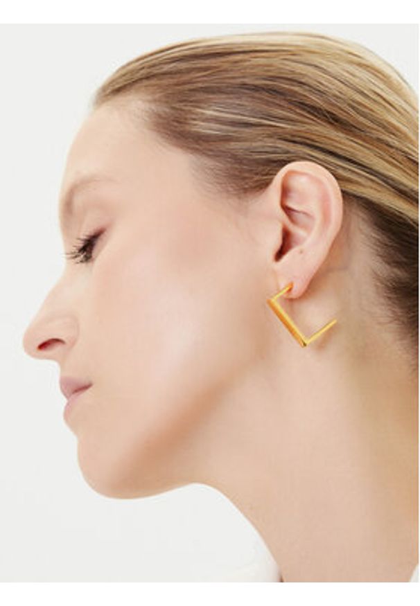 Elisabetta Franchi Kolczyki OR-03K-56E2-V150 Złoty. Materiał: metalowe. Kolor: złoty