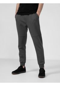 4f - Spodnie dresowe joggery męskie. Kolor: szary. Materiał: dresówka #1