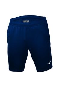 Short Mizuno Nara Training. Kolor: niebieski. Sport: fitness #1