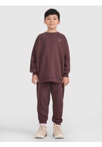 4f - 4F Komplet dresowy dziecięcy - brązowy 158/164 (12-14 lat). Okazja: na co dzień. Typ kołnierza: bez kaptura. Kolor: brązowy. Materiał: dresówka. Długość: długie. Wzór: gładki, ze splotem. Sezon: lato. Styl: młodzieżowy, klasyczny, casual, sportowy #1
