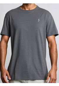 Sinsay - Koszulka regular fit - szary. Kolor: szary