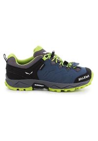 Buty trekkingowe dla dzieci Salewa JR Mtn Trainer. Kolor: niebieski. Materiał: materiał, syntetyk. Szerokość cholewki: normalna #1