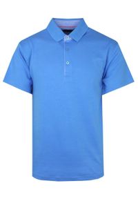Bartex - Koszulka POLO, Niebieska Casualowa, Krótki Rękaw, Jednokolorowa, T-shirt -BARTEX. Okazja: na co dzień. Typ kołnierza: polo. Kolor: niebieski. Materiał: bawełna. Długość rękawa: krótki rękaw. Długość: krótkie. Styl: casual #1