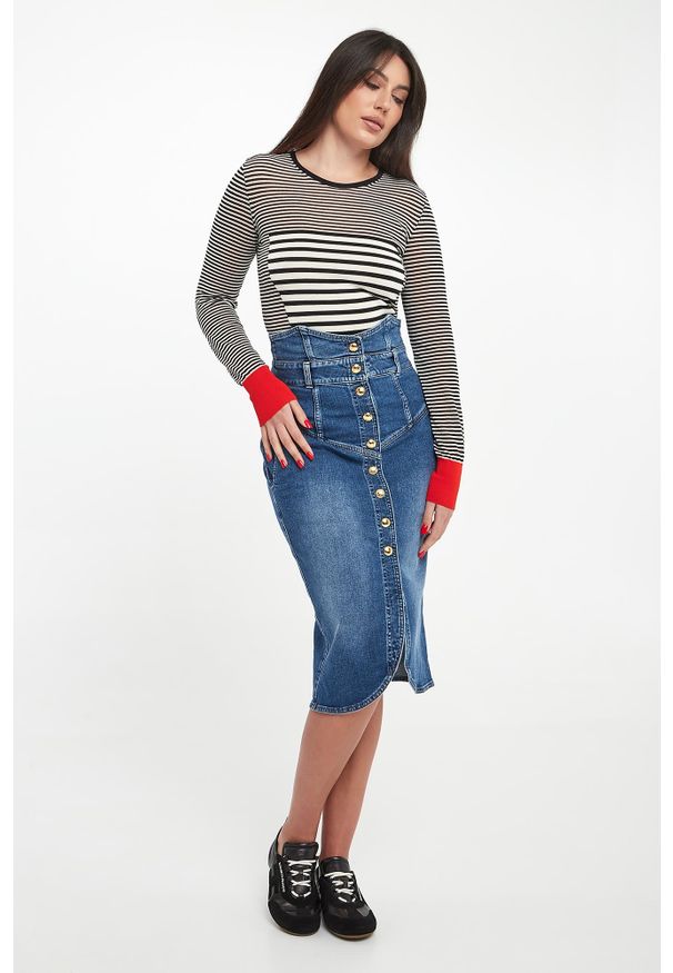 Elisabetta Franchi - Sweter damski w paski ELISABETTA FRANCHI. Wzór: paski