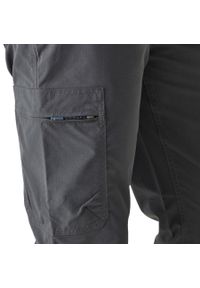 Spodnie trekkingowe dla mężczyzn Regatta DALRY MULTI POCKET. Kolor: szary. Materiał: tkanina. Sport: turystyka piesza