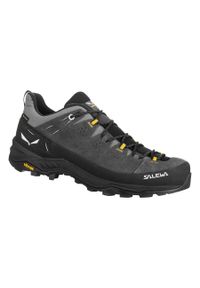 Buty Trekkingowe Męskie Salewa Alp Trainer 2 Gtx. Kolor: czarny, szary, wielokolorowy. Materiał: guma, zamsz. Sport: turystyka piesza #1