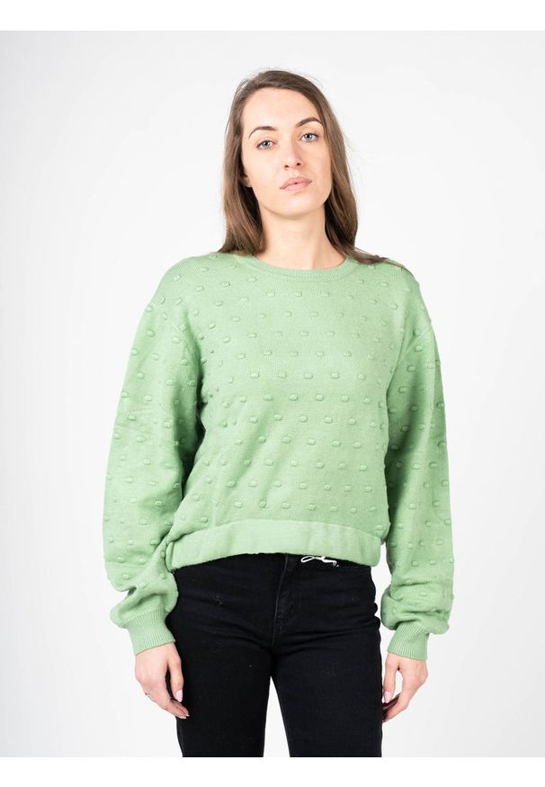 Silvian Heach Sweter | PGA22142MA | Kobieta | Zielony. Kolor: zielony. Materiał: poliester, wiskoza, nylon. Długość: krótkie. Wzór: aplikacja