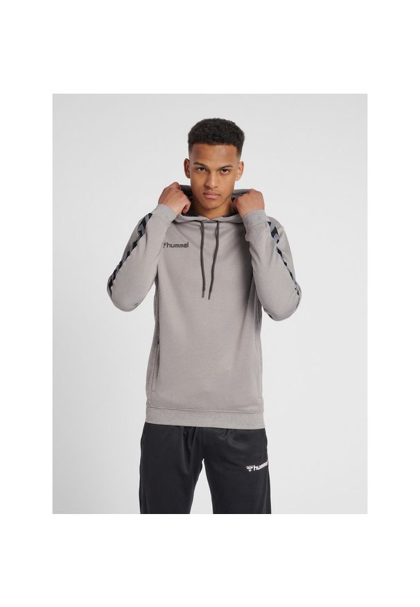 Bluza do piłki ręcznej męska Hummel hml AUTHENTIC Poly. Kolor: szary. Sport: fitness