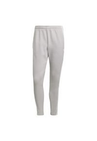 Spodnie do piłki nożnej męskie Adidas Squadra 21 Sweat Pants. Kolor: szary. Materiał: dresówka. Sport: fitness, piłka nożna