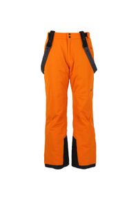 Spodnie narciarskie Whistler Gippslang 15000. Kolor: pomarańczowy. Sezon: zima. Sport: narciarstwo #1