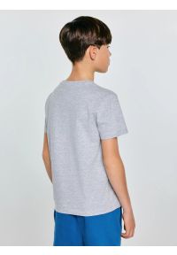 Big-Star - Koszulka chłopięca z nadrukiem szara Rafer 902. Kolor: szary. Materiał: dzianina, materiał, dresówka, skóra, jeans. Wzór: nadruk. Styl: sportowy, klasyczny, młodzieżowy #2