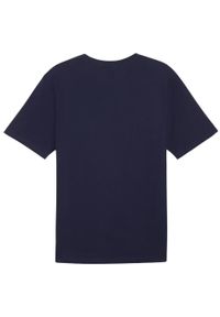Koszulka męska Puma Team Rise Logo Jersey Cotton. Kolor: niebieski, wielokolorowy, biały. Materiał: jersey. Sport: fitness, piłka nożna