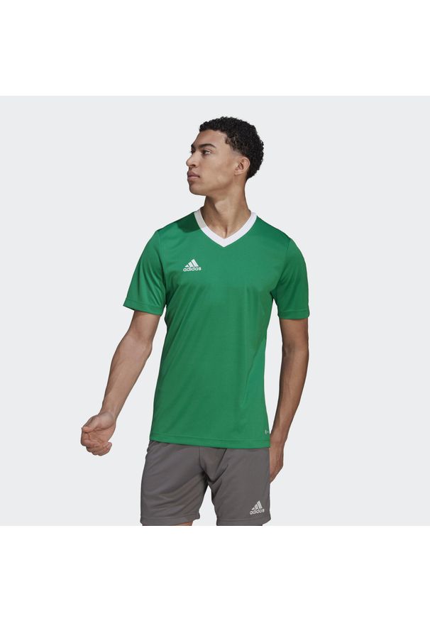 Adidas - Entrada 22 Jersey. Kolor: biały, zielony, wielokolorowy. Materiał: jersey. Sport: piłka nożna