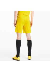 Spodenki Puma Teamfinal 21 Knit Shorts, Mężczyźni. Kolor: czarny, wielokolorowy, żółty. Materiał: poliester, materiał. Sport: piłka nożna