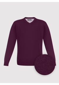 Pako Lorente - PAKO LORENTE – Fioletowy bawełniany sweter v-neck. Okazja: na co dzień. Kolor: fioletowy, czarny. Materiał: bawełna. Sezon: jesień. Styl: casual #5