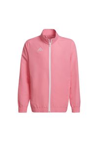 Adidas - Dziecięca bluza dresowa adidas Entrada 22. Kolor: różowy. Materiał: dresówka. Sport: piłka nożna