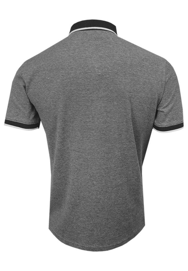 Pako Jeans - Popielato-Czarna Koszulka POLO z Lamówką, Męska, Krótki Rękaw -PAKO JEANS- T-shirt z Kołnierzykiem. Okazja: na co dzień. Typ kołnierza: polo. Kolor: wielokolorowy, szary, czarny. Materiał: bawełna. Długość rękawa: krótki rękaw. Długość: krótkie. Styl: casual