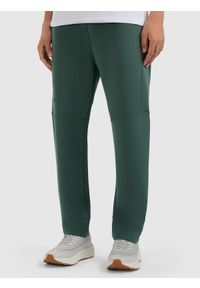 4f - 4F Spodnie dresowe joggery męskie - zielone M. Kolor: zielony. Materiał: dresówka #2