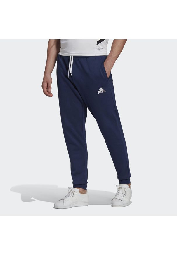 Spodnmie do piłki nożnej męskie Adidas Entrada 22 Sweat Pants. Kolor: niebieski. Materiał: polar, materiał, dresówka