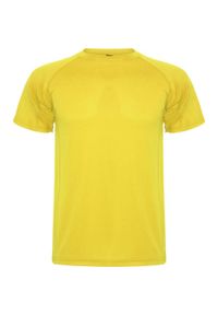 ROLY - Męska Koszulka Sportowa Montecarlo Z Krótkim Rękawem. Kolor: żółty. Długość rękawa: krótki rękaw. Długość: krótkie. Sport: turystyka piesza