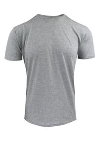 Męski T-Shirt Jednokolorowy - Brave Soul - Popielata. Okazja: na co dzień. Kolor: szary. Materiał: wiskoza, bawełna. Styl: casual
