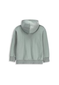 Lemon Explore - Bluza sportowa dziecięca Lemon Exlopre WL5 rozpinana. Typ kołnierza: kaptur. Kolor: zielony. Materiał: bawełna, poliester. Wzór: aplikacja