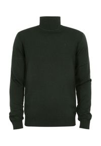 Ochnik - Ciemnozielony sweter męski z golfem. Typ kołnierza: golf. Kolor: zielony. Materiał: bawełna #3