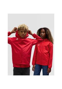 Niezbędna bluza dresowa dla dzieci Hummel Aw. Kolor: czerwony, różowy, wielokolorowy. Materiał: dresówka #1