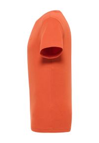 Męski T-Shirt Mustang Style Allen Burnt Ochre 1016268 7105 #3