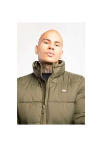 Kurtka zimowa męska Dickies Waldenburg. Kolor: zielony. Sezon: zima. Styl: sportowy