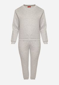 Born2be - Szary Komplet Dresowy z Bawełną Bluza i Spodnie Joggery Ette. Kolor: szary. Materiał: dresówka, bawełna